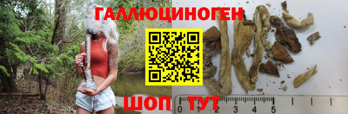 Галлюциногенные грибы мухоморы  Вход с VPN  Ржев 
